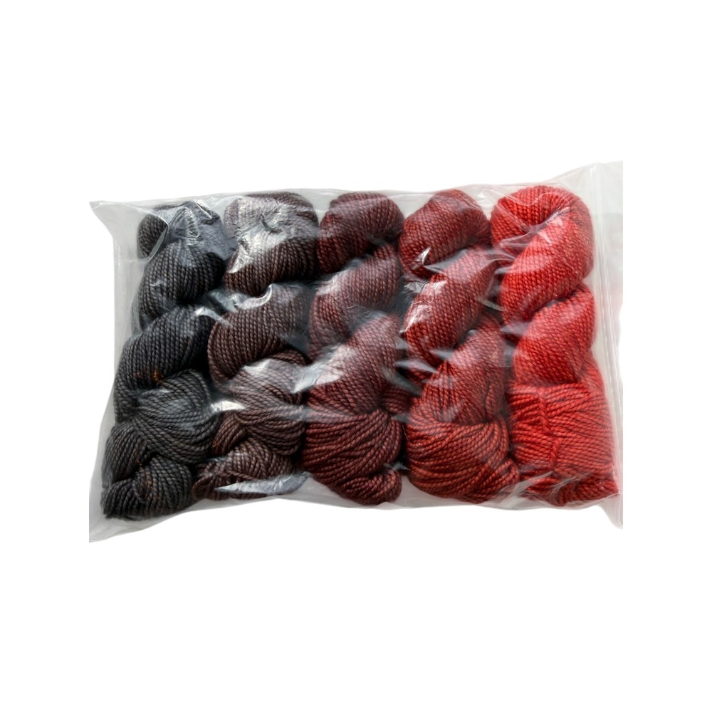 New Fiberstory Gradient Sock Yarn Set Fave Finch Red Grey 400yds Total Hand Dyed - Picture 3 of 5
